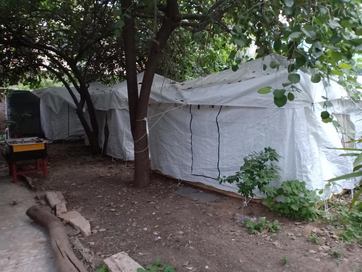 Nature Trail Camps & Homestay Jodhpur  Dış mekan fotoğraf