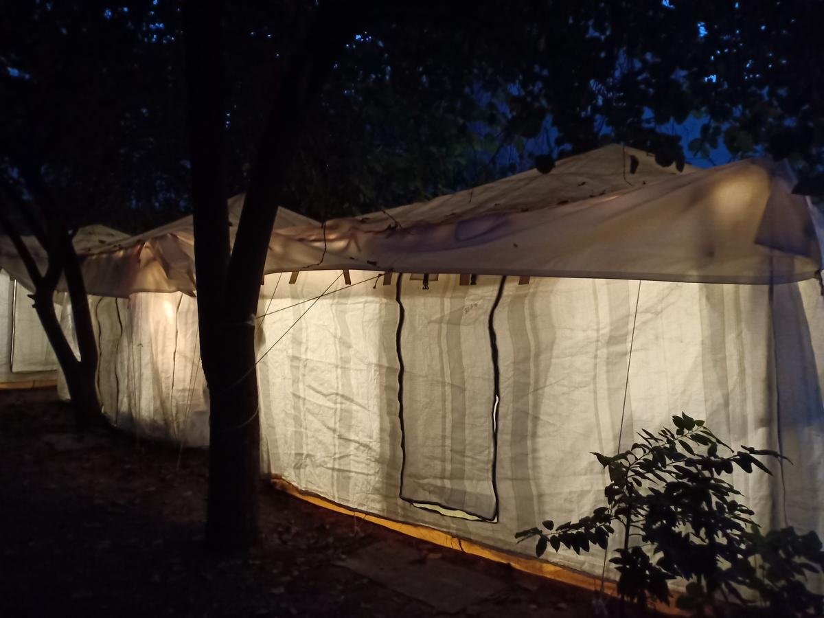 Nature Trail Camps & Homestay Jodhpur  Dış mekan fotoğraf
