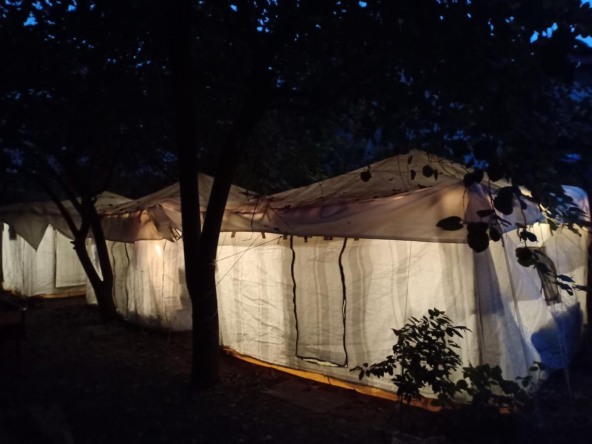 Nature Trail Camps & Homestay Jodhpur  Dış mekan fotoğraf