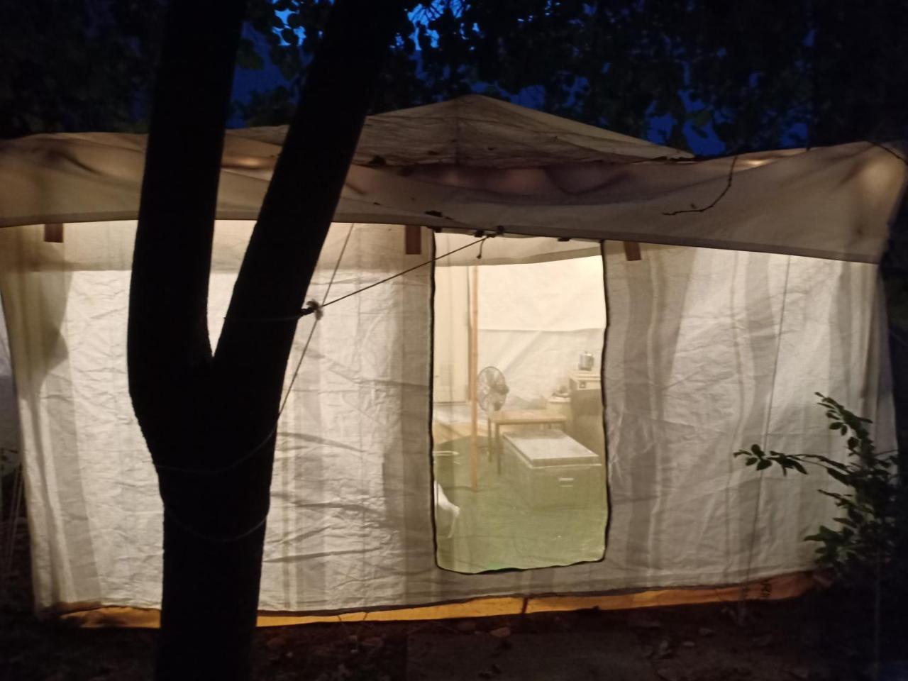 Nature Trail Camps & Homestay Jodhpur  Dış mekan fotoğraf