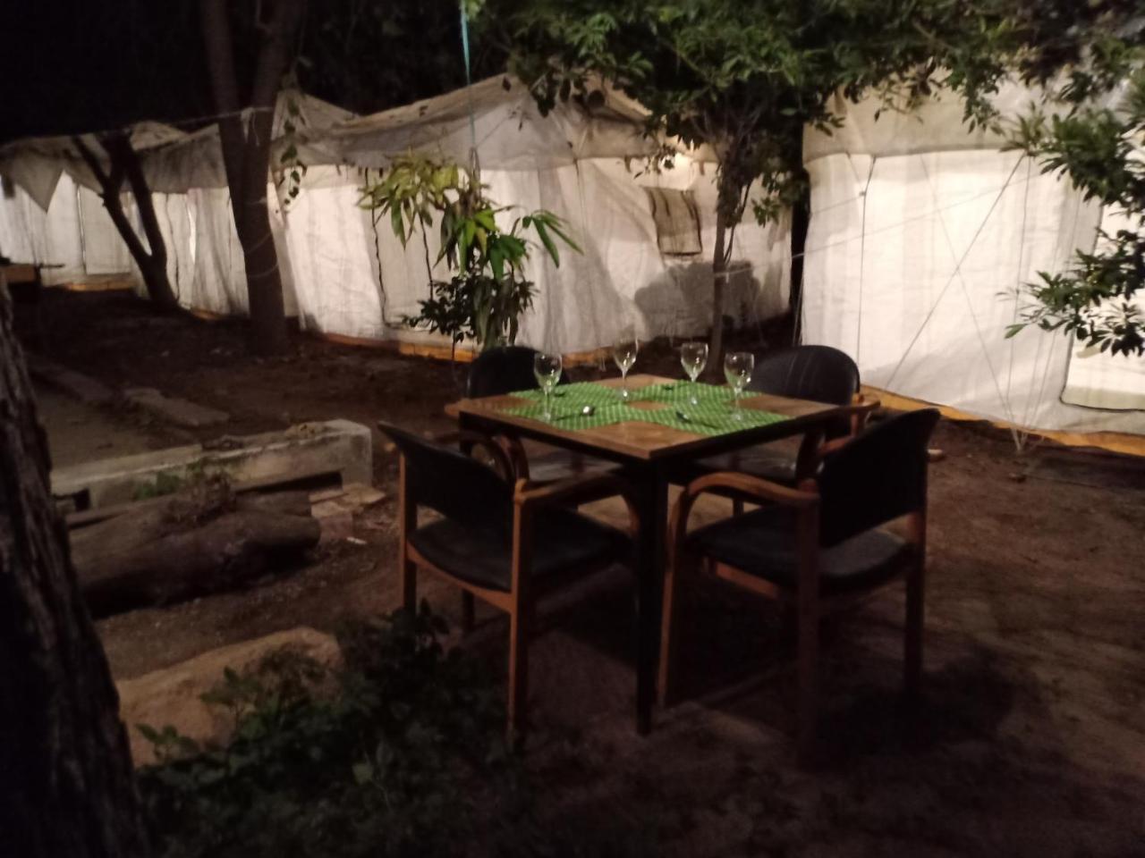 Nature Trail Camps & Homestay Jodhpur  Dış mekan fotoğraf
