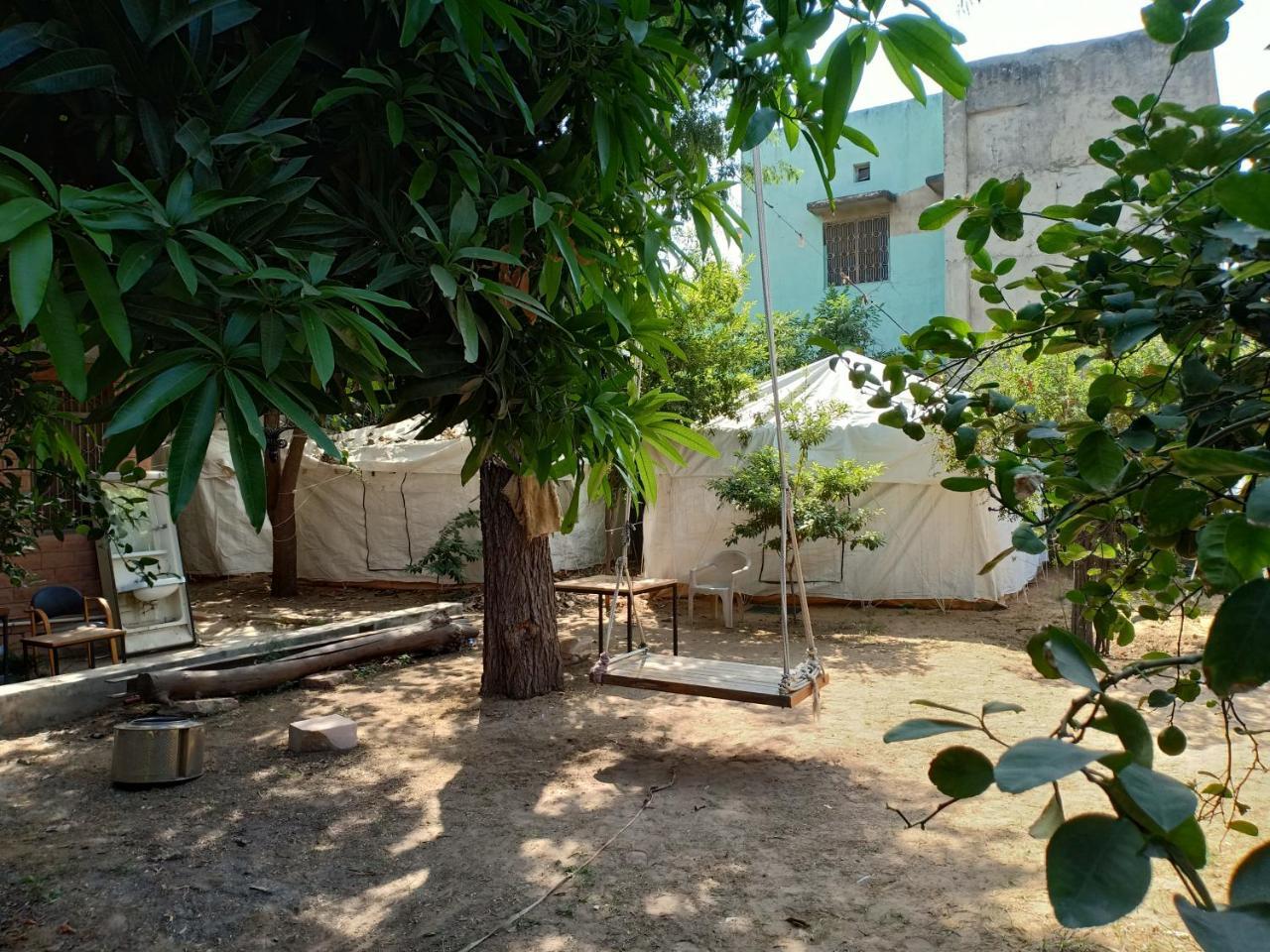Nature Trail Camps & Homestay Jodhpur  Dış mekan fotoğraf