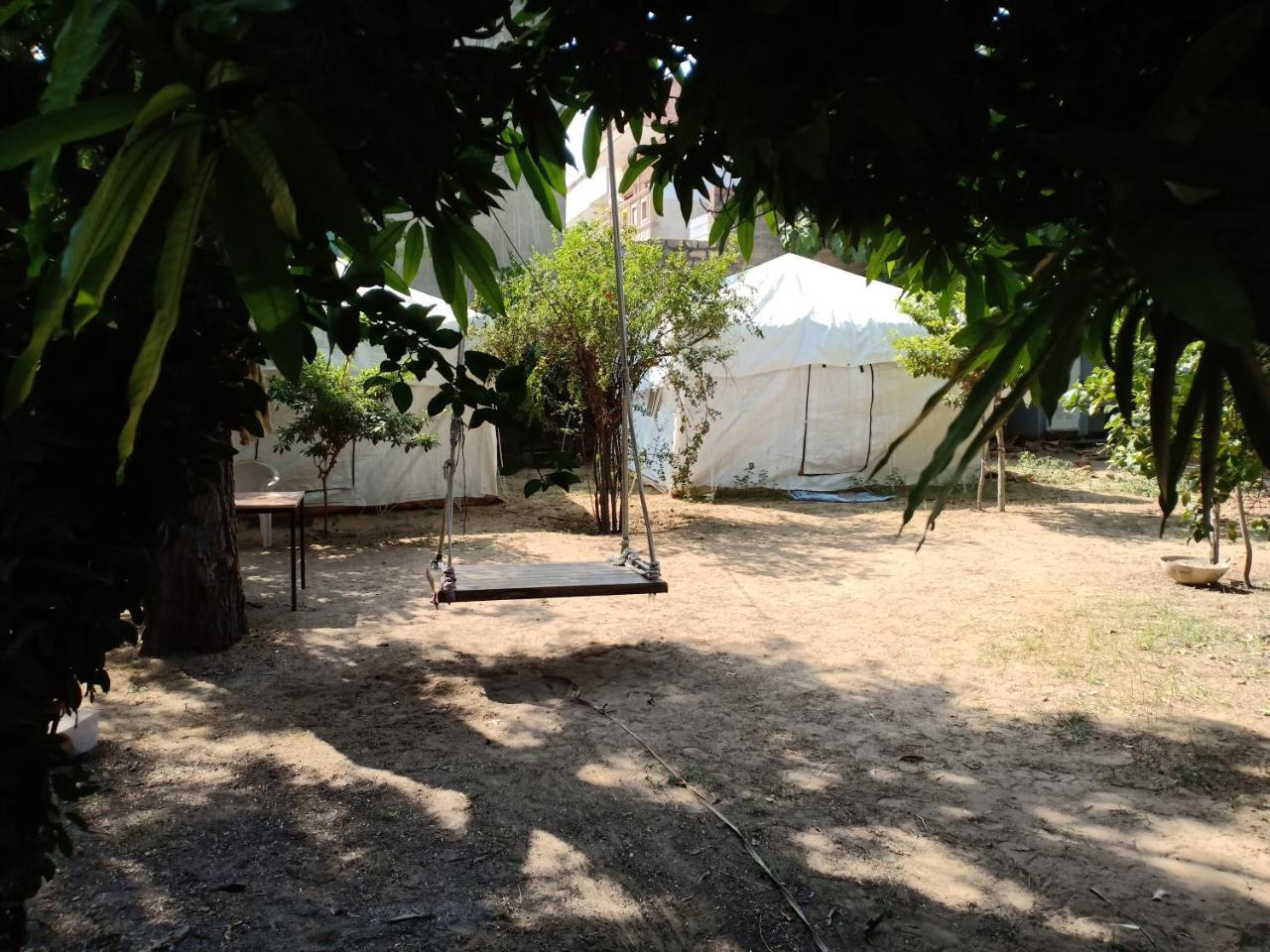 Nature Trail Camps & Homestay Jodhpur  Dış mekan fotoğraf